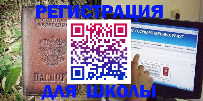 прописка для школы в Кировске